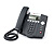 Polycom 450